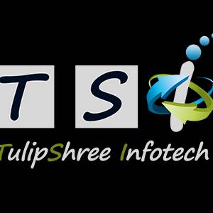 Tulipshree Infotech Jaipur
